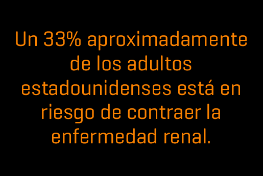 Black background with white text that says "33% of adults in the U.S. are at risk for kidney disease"