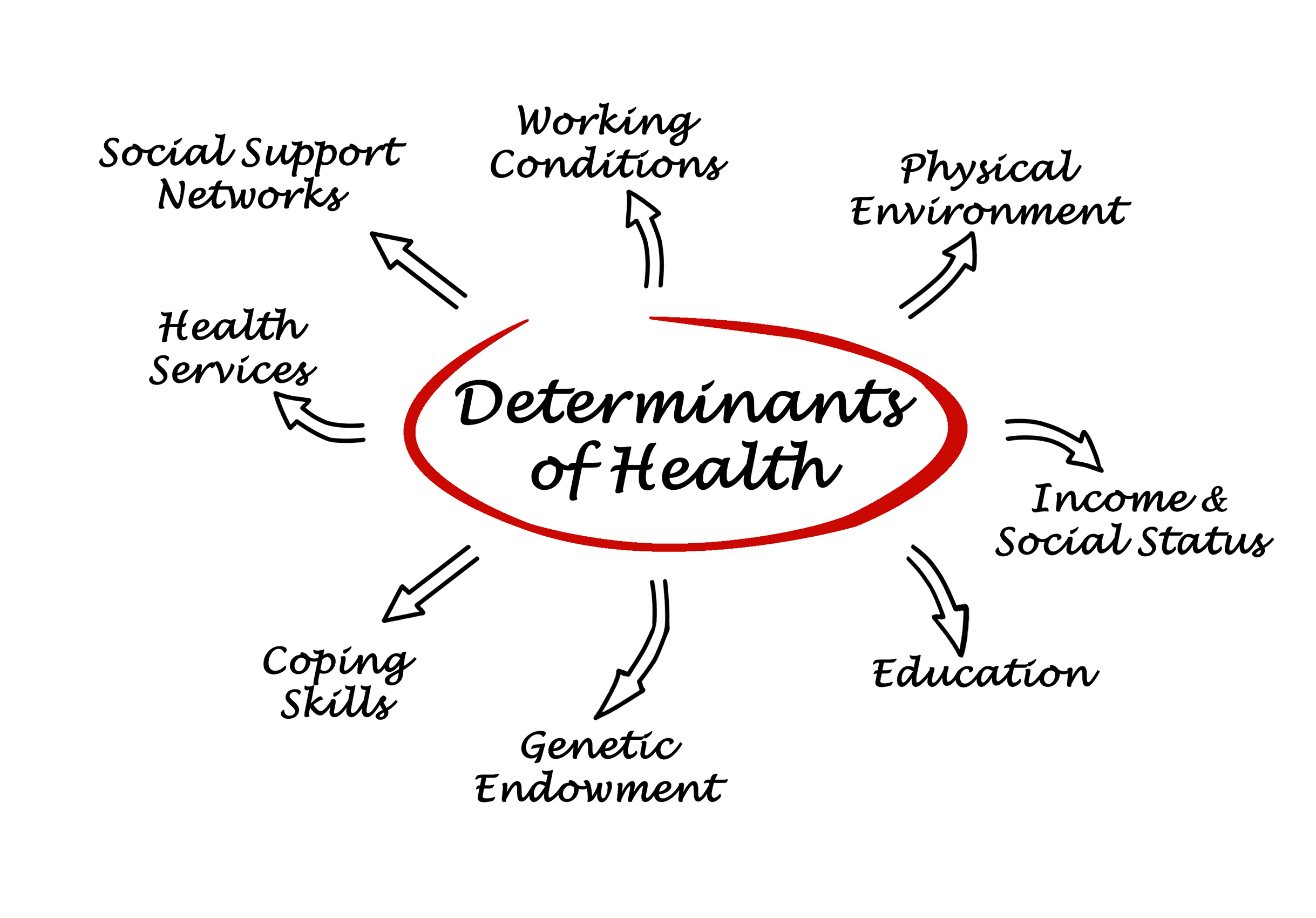 Word cloud of the social determinants of health