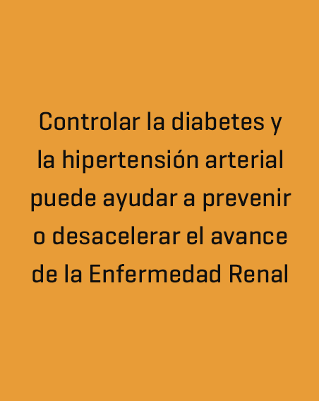 El control de la diabetes y la hipertensión puede ayudar a prevenir o enlentecer la progresión de la enfermedad renal crónica.