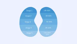 5 stages