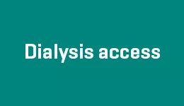 Dialysis access