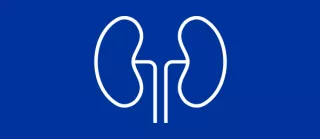 Bridge to Transplant icon