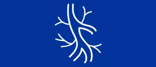 Preserve Vascular Access icon