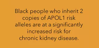 text of APOL1