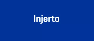injerto