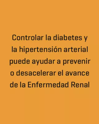 Controlar la diabetes y la hipertension arterial puede ayudar a prevenir o desecelerar al avance de la enfermedad renal
