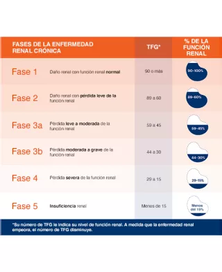 Fases de la endermedad renal cronica y los numeros de TFG