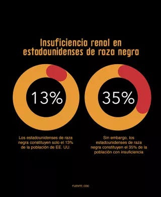 Insuficiencia renal en estadounidenses de raza negra