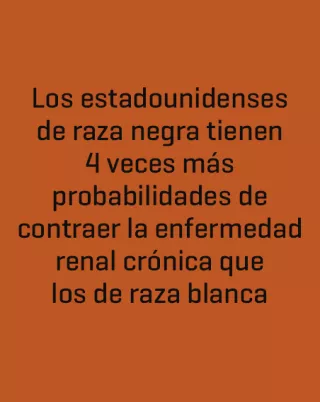 Los estadounidenses de raza negra tienen 4 veces mas probabilidades de contraer la enfremedad renal cronica que los de raza blanca