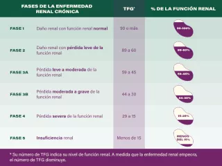 Fases de la endermedad renal cronica y los numeros de TFG
