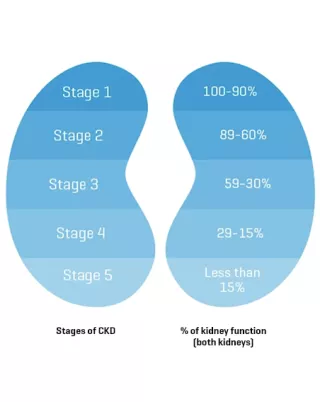 5 stages