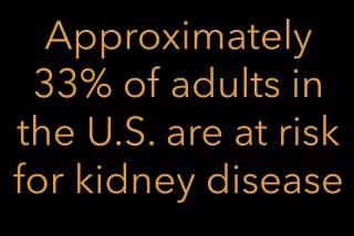 Black background with white text that says "33% of adults in the U.S. are at risk for kidney disease"