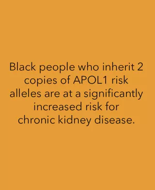 Yellow background with text that reads "Black people who inherit 2 copies of APOL1 risk alleles are at a significantly increased risk for chronic kidney disease."