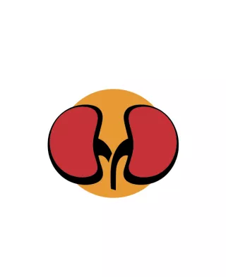 Graphic of kidneys on a red background