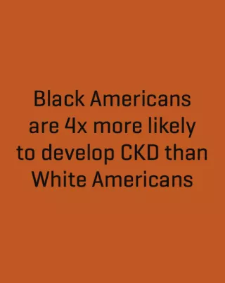 Quote Black American