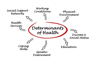 Word cloud of the social determinants of health